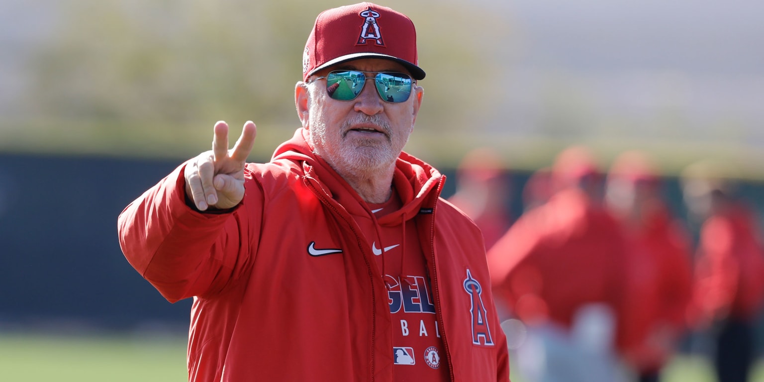 Joe Maddon would understand if a player opts out