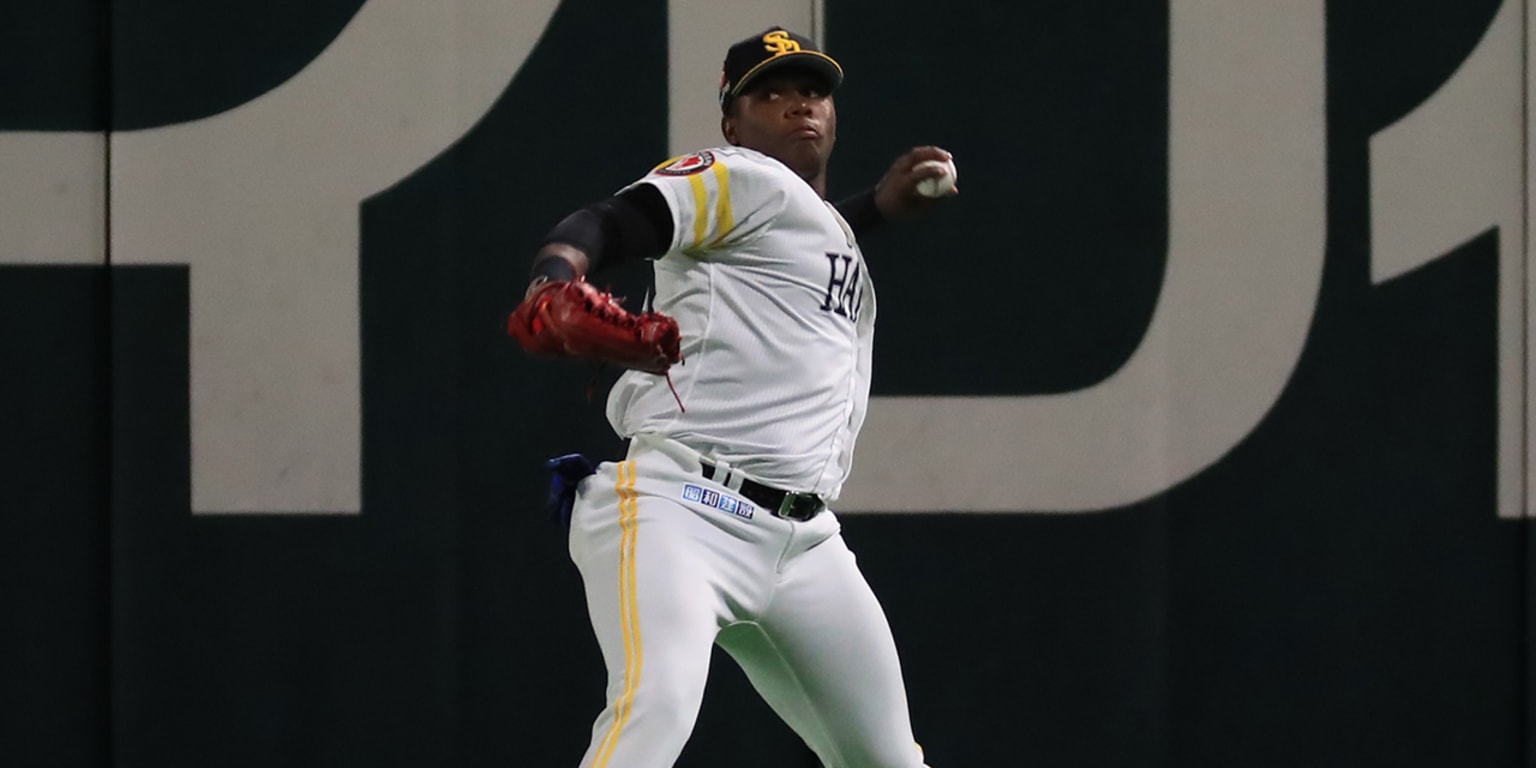 2018 Fukuoka SoftBank Hawks Cheap Jersey Third