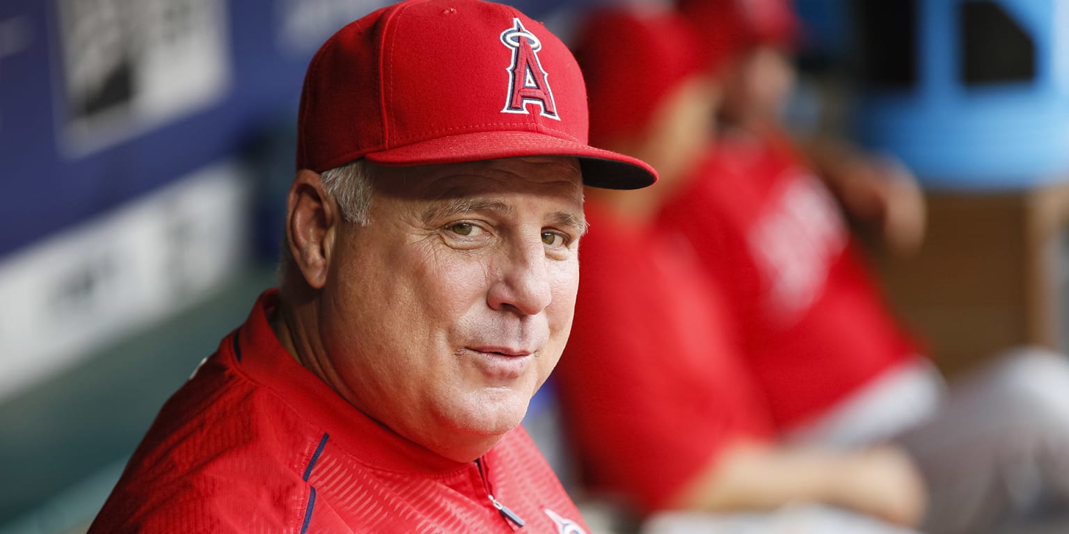 Mike Scioscia wants to continue managing