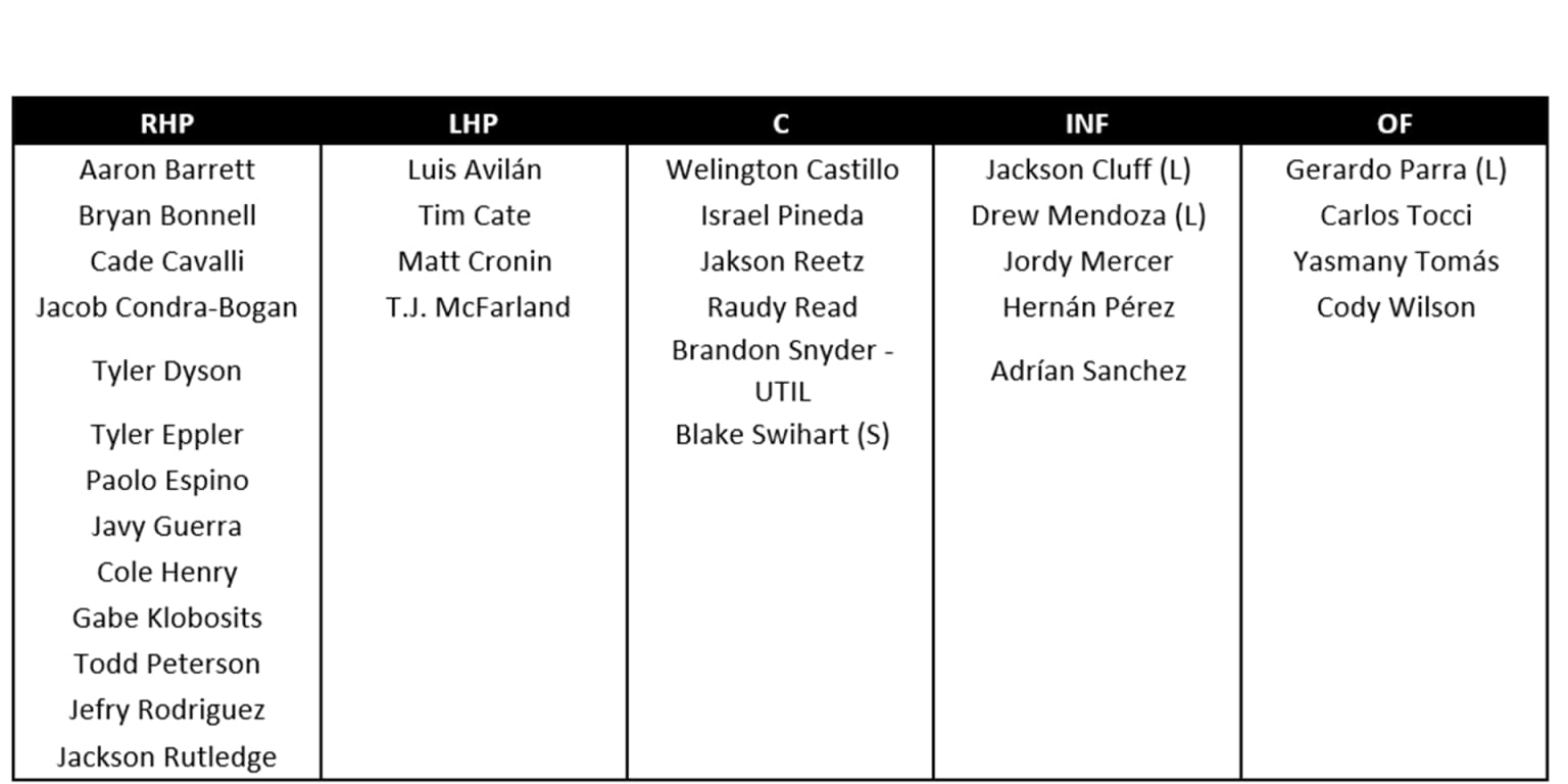 Fredericksburg Nationals roster