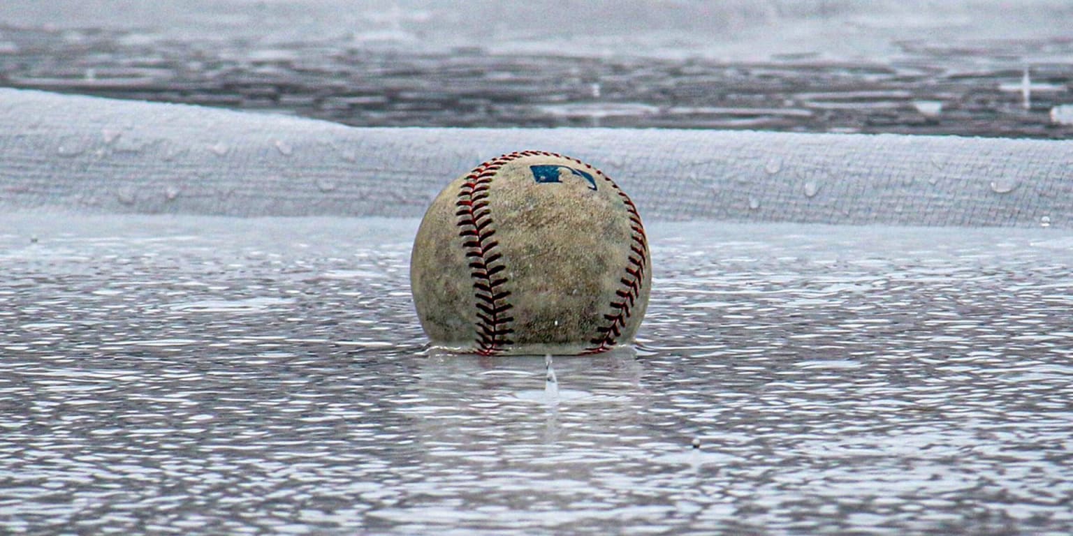 Матч Braves-Mets 29 апреля перенесли из-за дождя