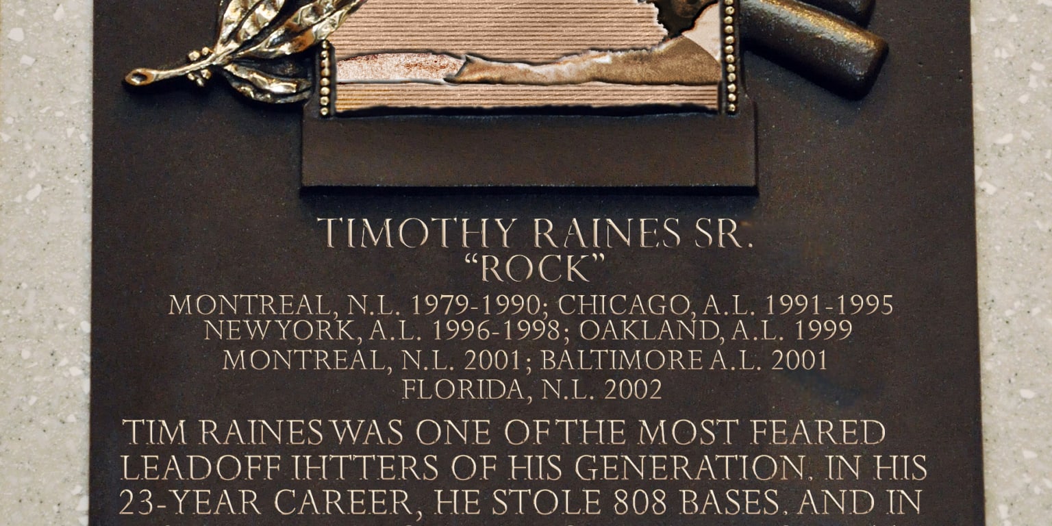 Former MLB All-Star and Somerset Patriot Tim Raines Headed to