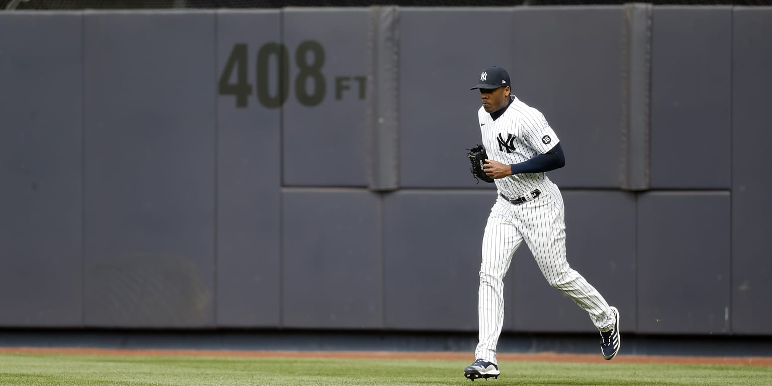Jasson Dominguez is the latest reason to hate the Yankees