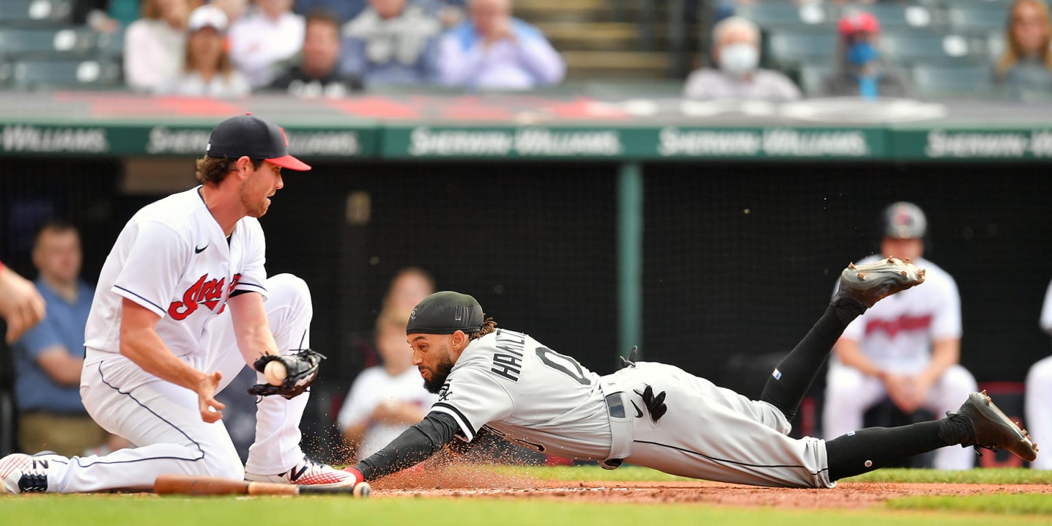 Cincinnati Reds Outfielder Billy Hamilton Running Wild