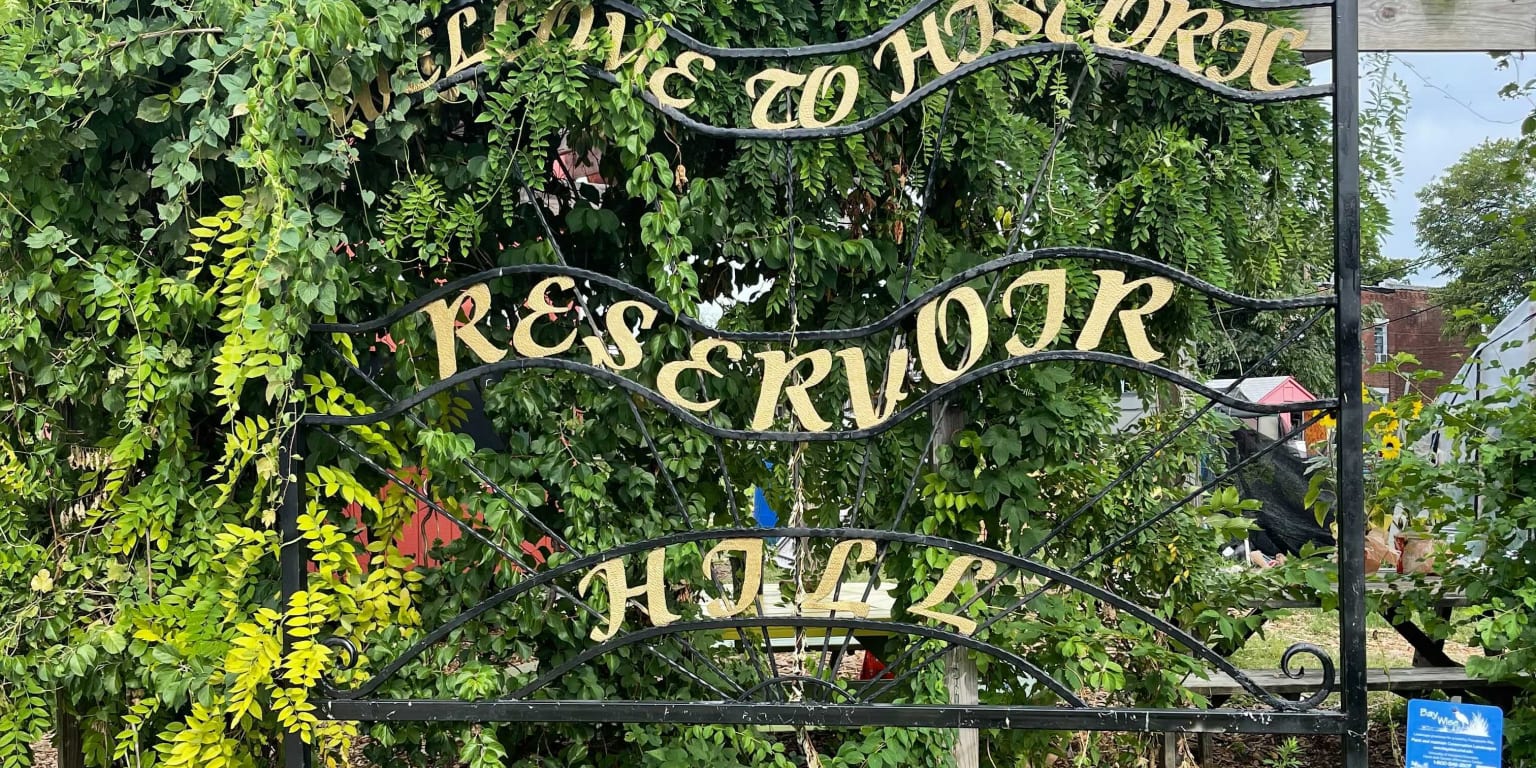 Orange and Black Gives Back Whitelock Community Farm Baltimore Orioles