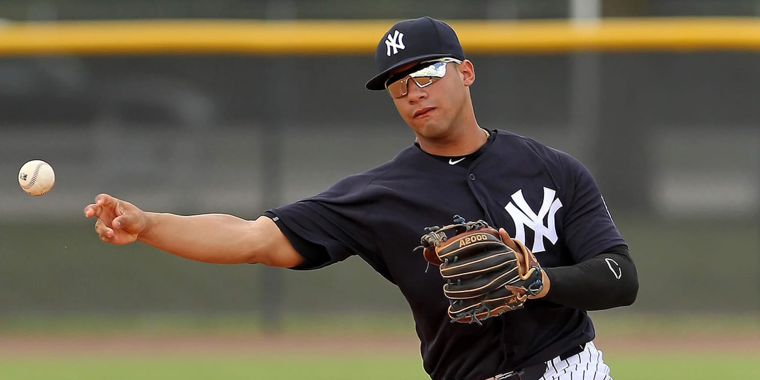 Yankees invite 23 players to Spring Training