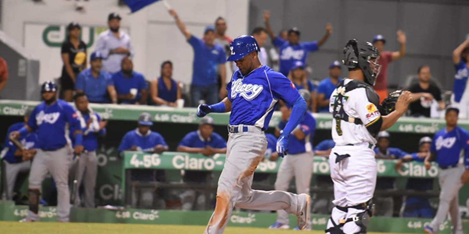 Triunfo de Tigres aprieta liga dominicana al cierre