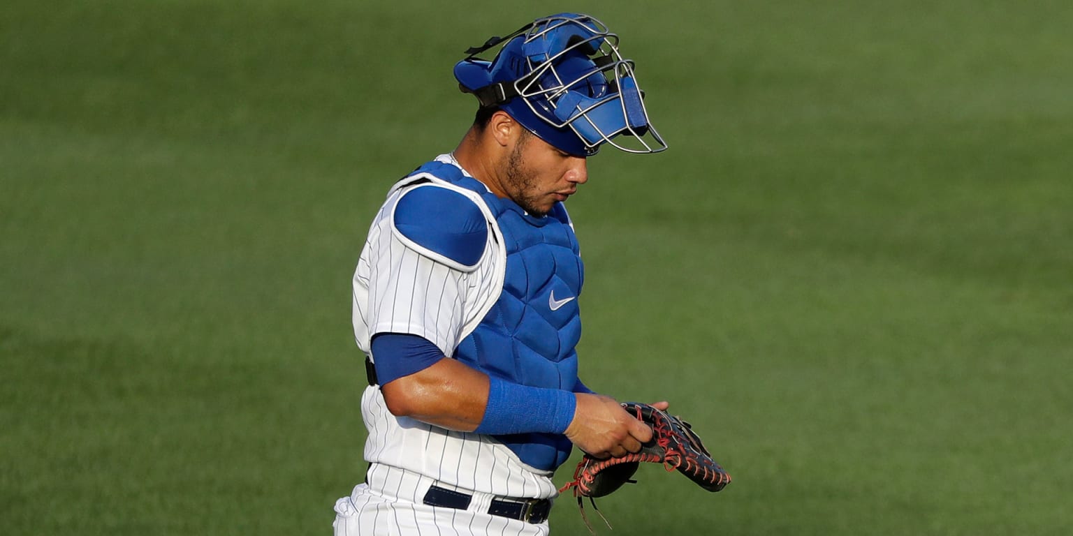 Willson Contreras, Designated Hitter - Milwaukee Brewers Talk