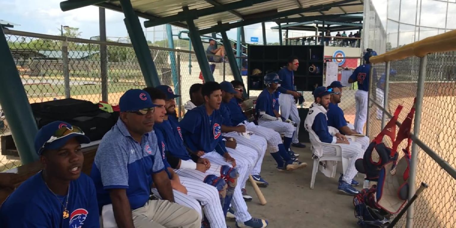 Inside Major League Baseball's Dominican Sweatshop System – Mother