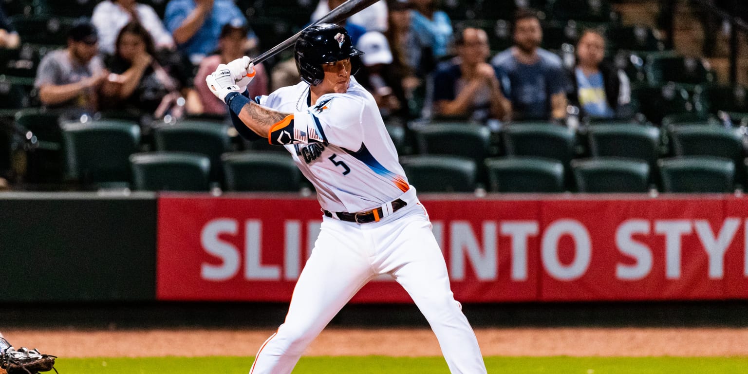 Korey Lee, Astros No. 2 prospect, called up to MLB
