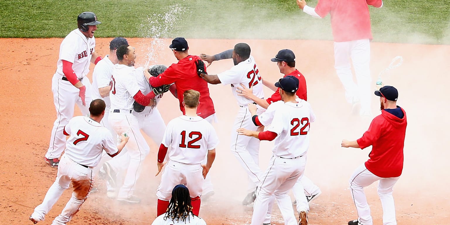 MLB Baseball This Team Makes Me Drink Adoring Fan Boston Red Sox