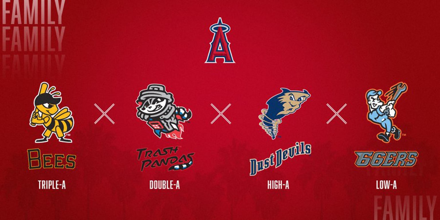  New minor league logos turn up in Savannah, Coachella Valley