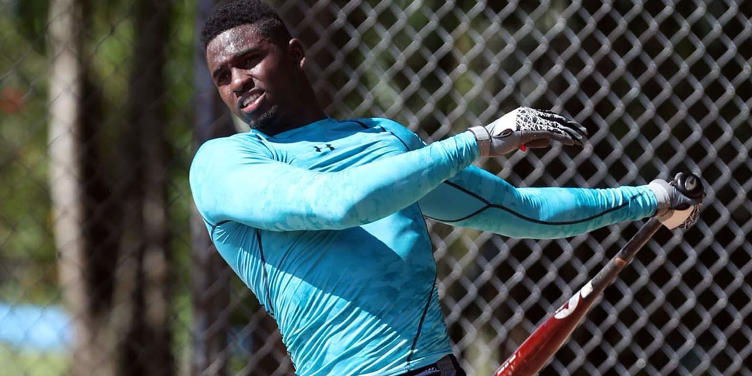 Scout calls Cuban prospect Luis Robert 'best player on the planet