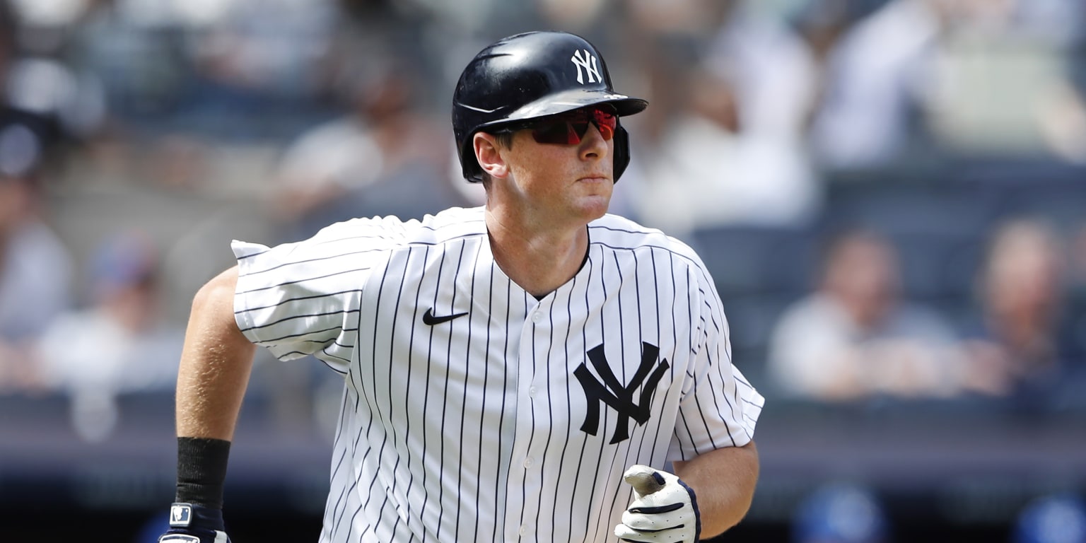 Yankees' injury update good on Giancarlo Stanton, but not Anthony Rizzo and  DJ LeMahieu 