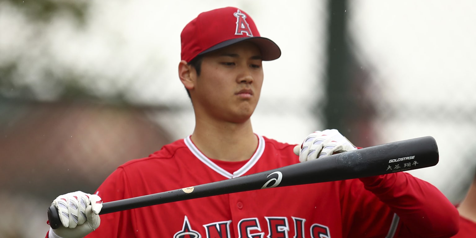 Shohei Ohtani visits former Fighters teammates at spring camp