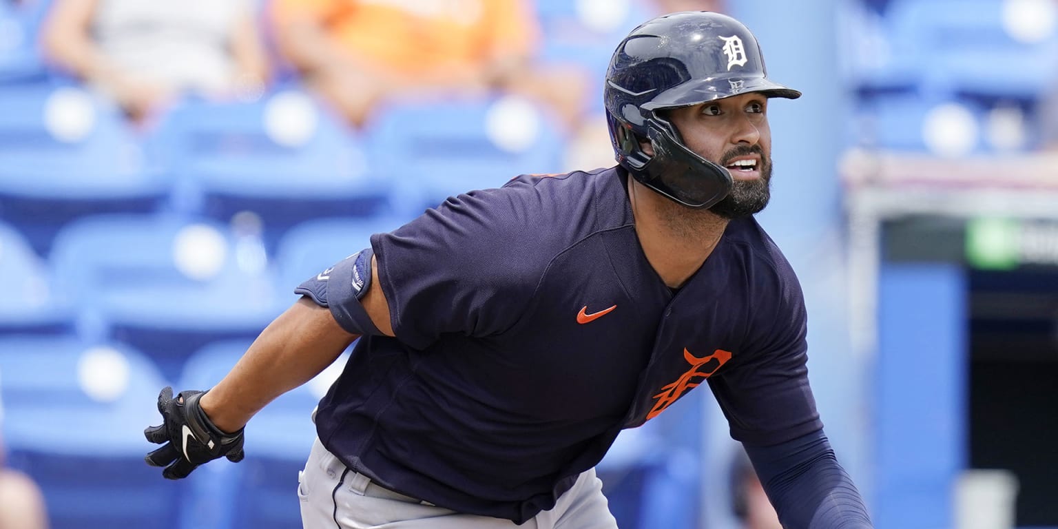 Tigers' Riley Greene on injured list with left leg stress fracture - NBC  Sports