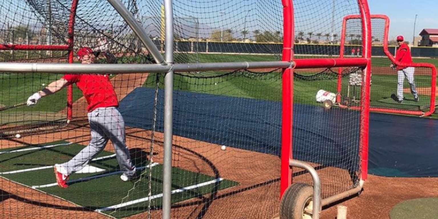 Tigers catcher Tucker Barnhart is now switch-hitting 