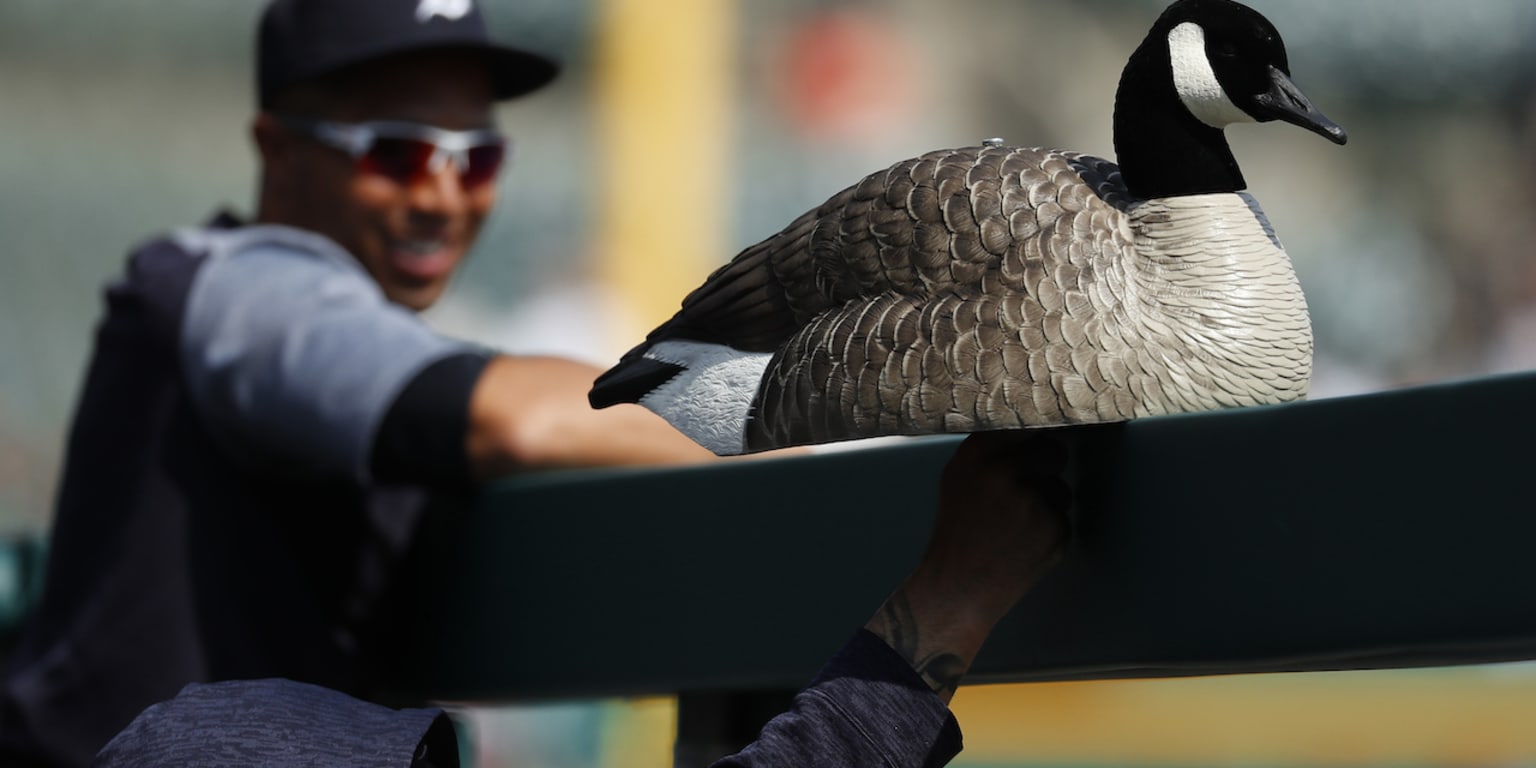 That wacky Detroit Tigers rally goose official swag you can actually get 