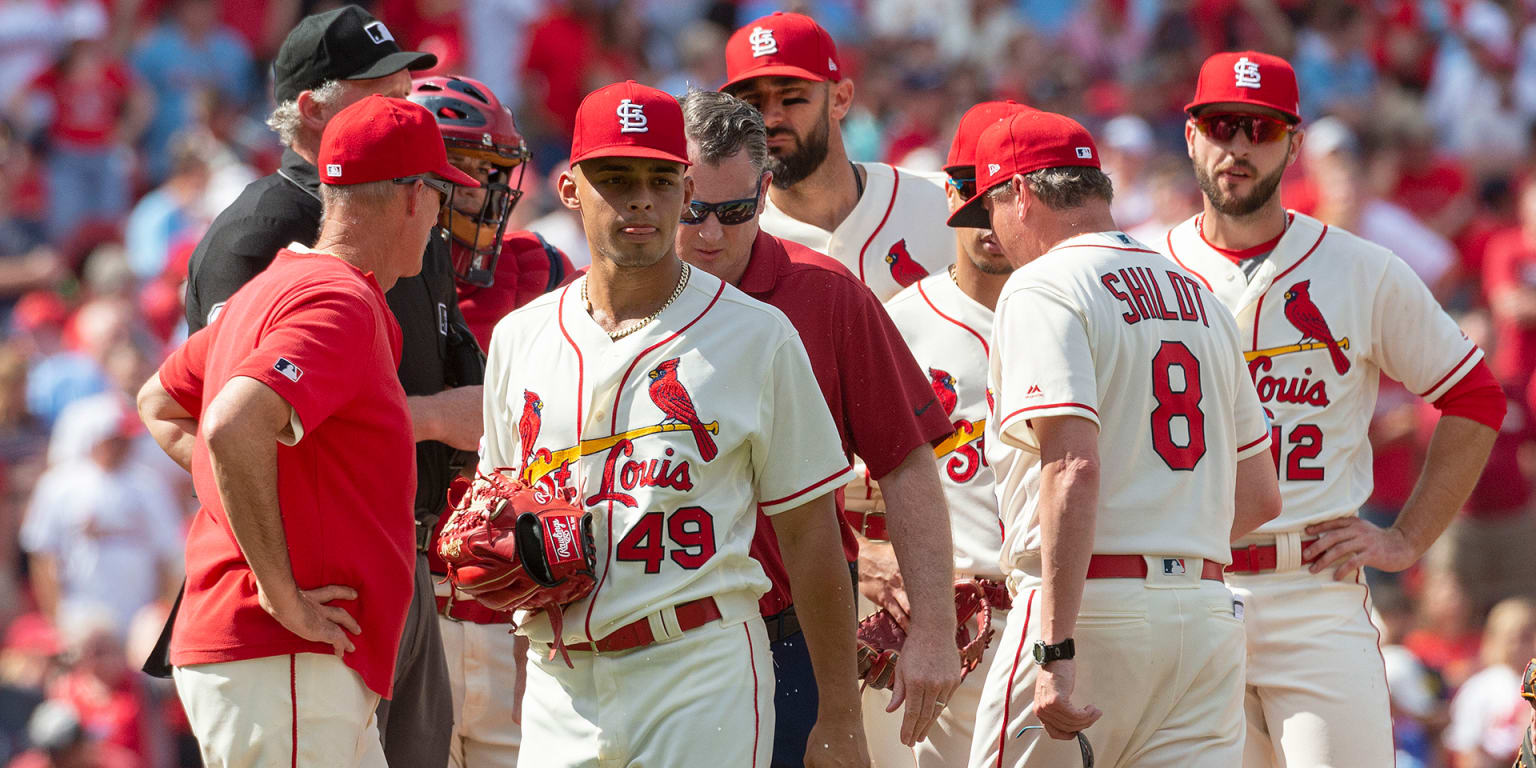 Cardinals' Molina exits game against Cubs with bruised elbow