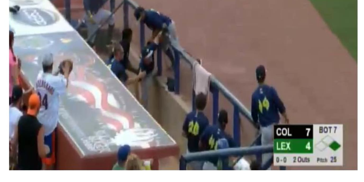 A Mets Minor Leaguer flipped over the dugout railing to make an