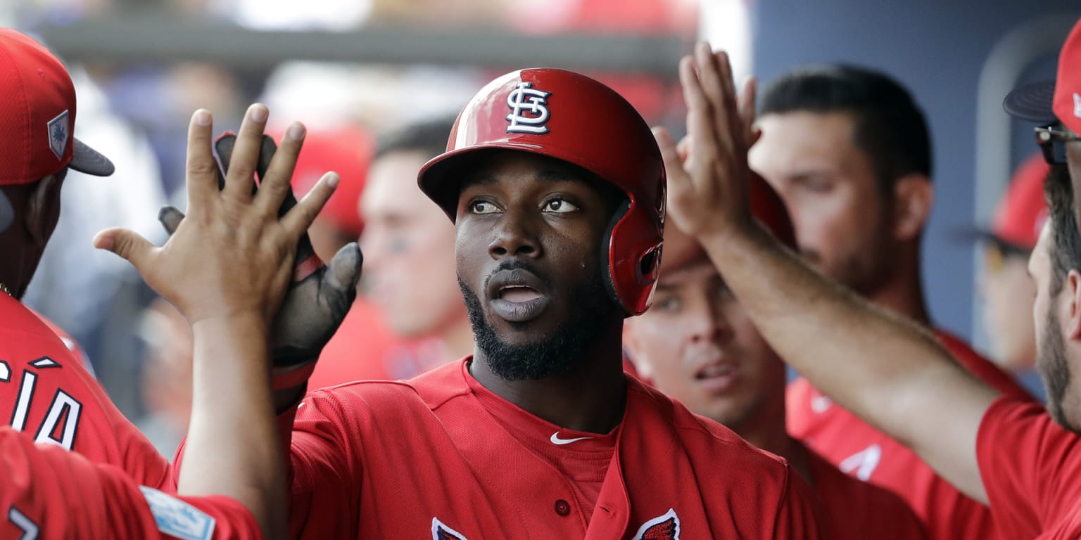 Randy Arozarena is the latest young Cardinals outfielder pushing