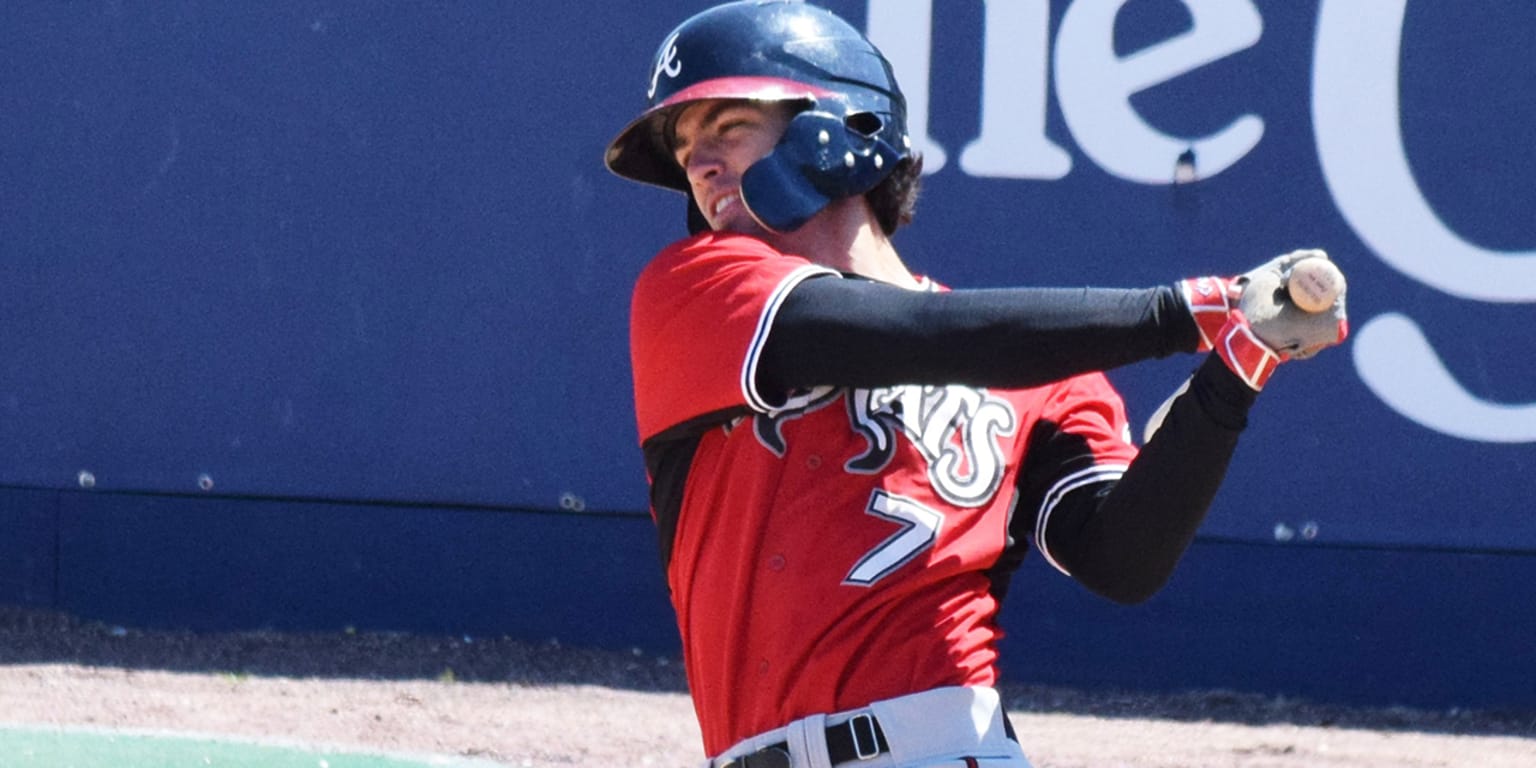 Dansby Swanson hits inside the park home run