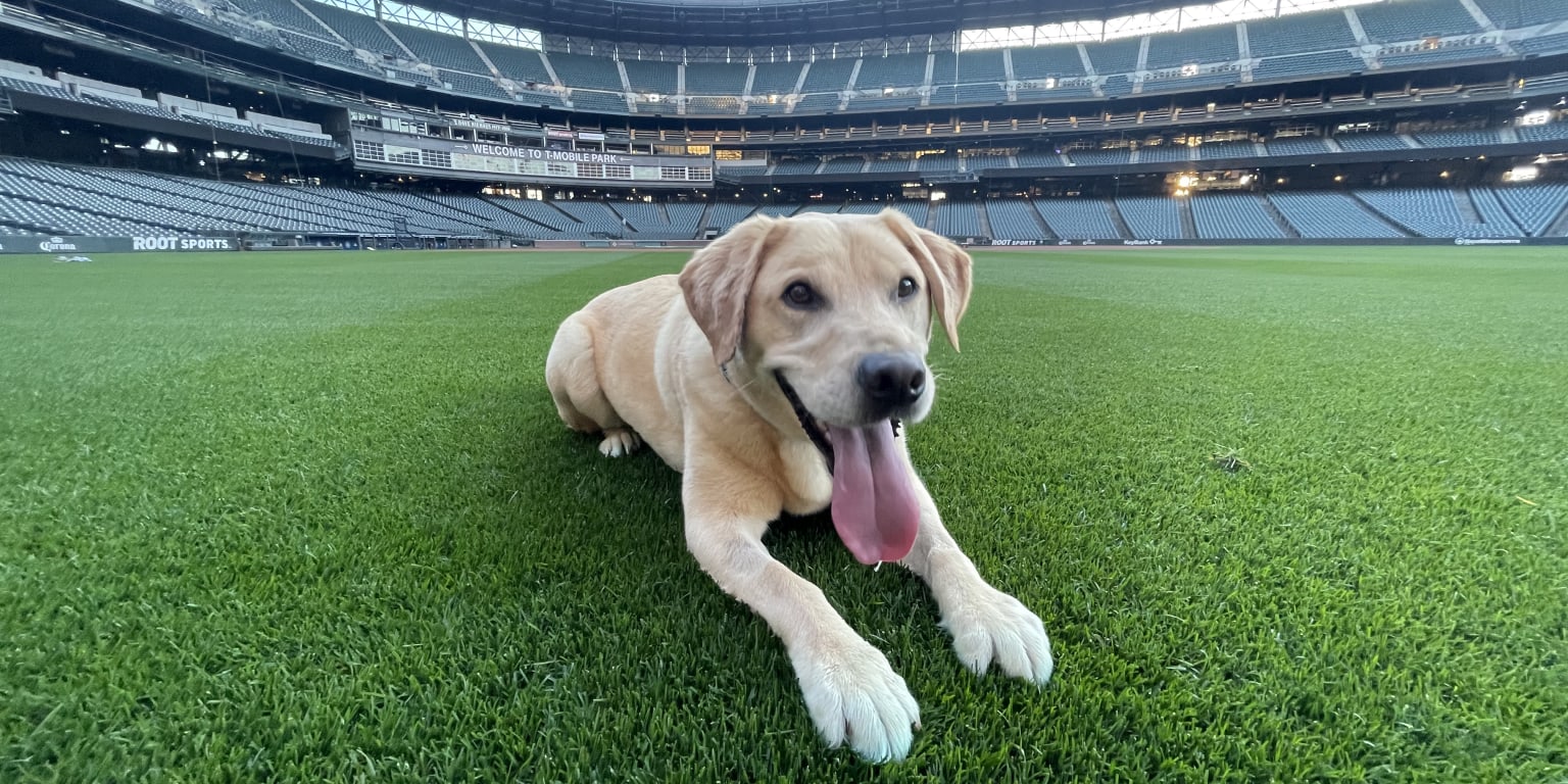 Mariners adopt clubhouse dog Tucker