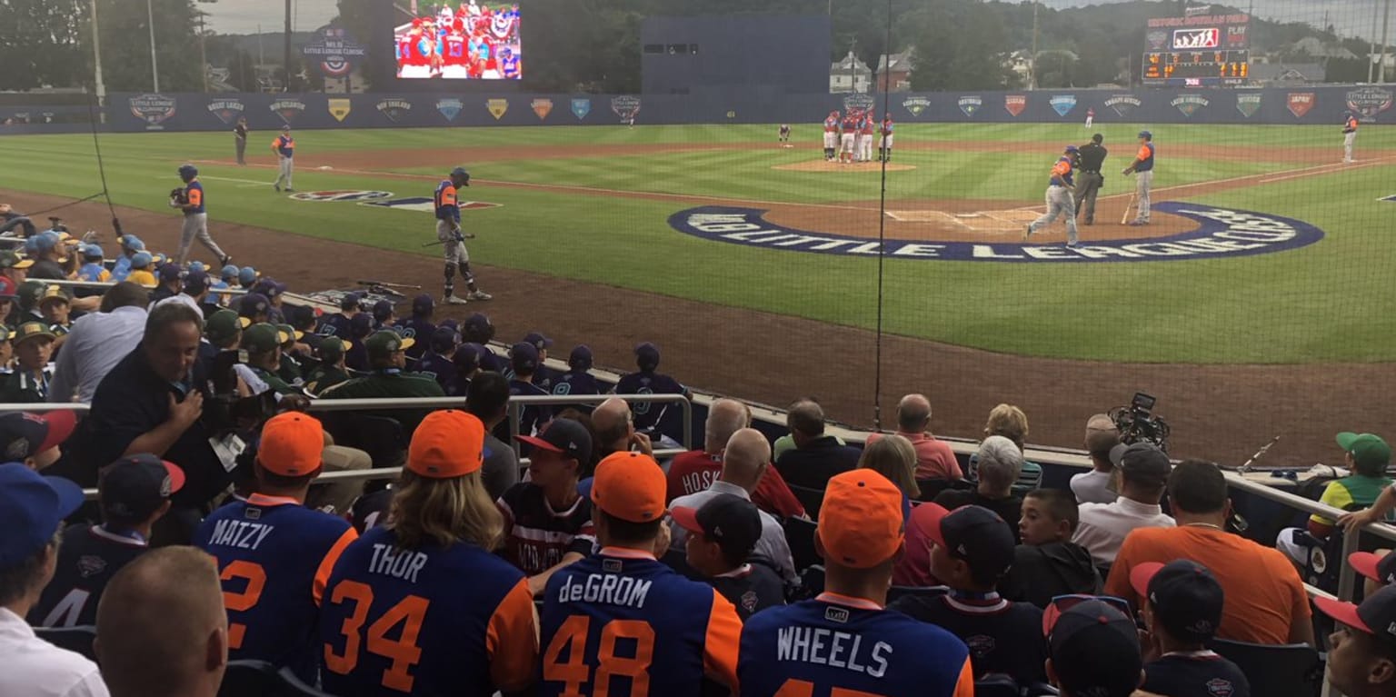 For Little Leaguers at New Mets Stadium, a Little Less - The New