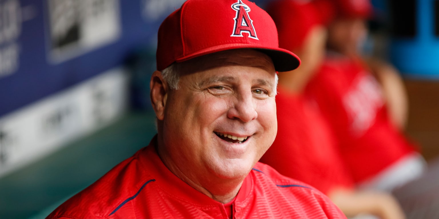 Los Angeles Angels manager Mike Scioscia walks back to the dugout after  arguing unsucessfully on a dropped-third-strike in the ninth inning of Game  2 of the American League Championship Series against the