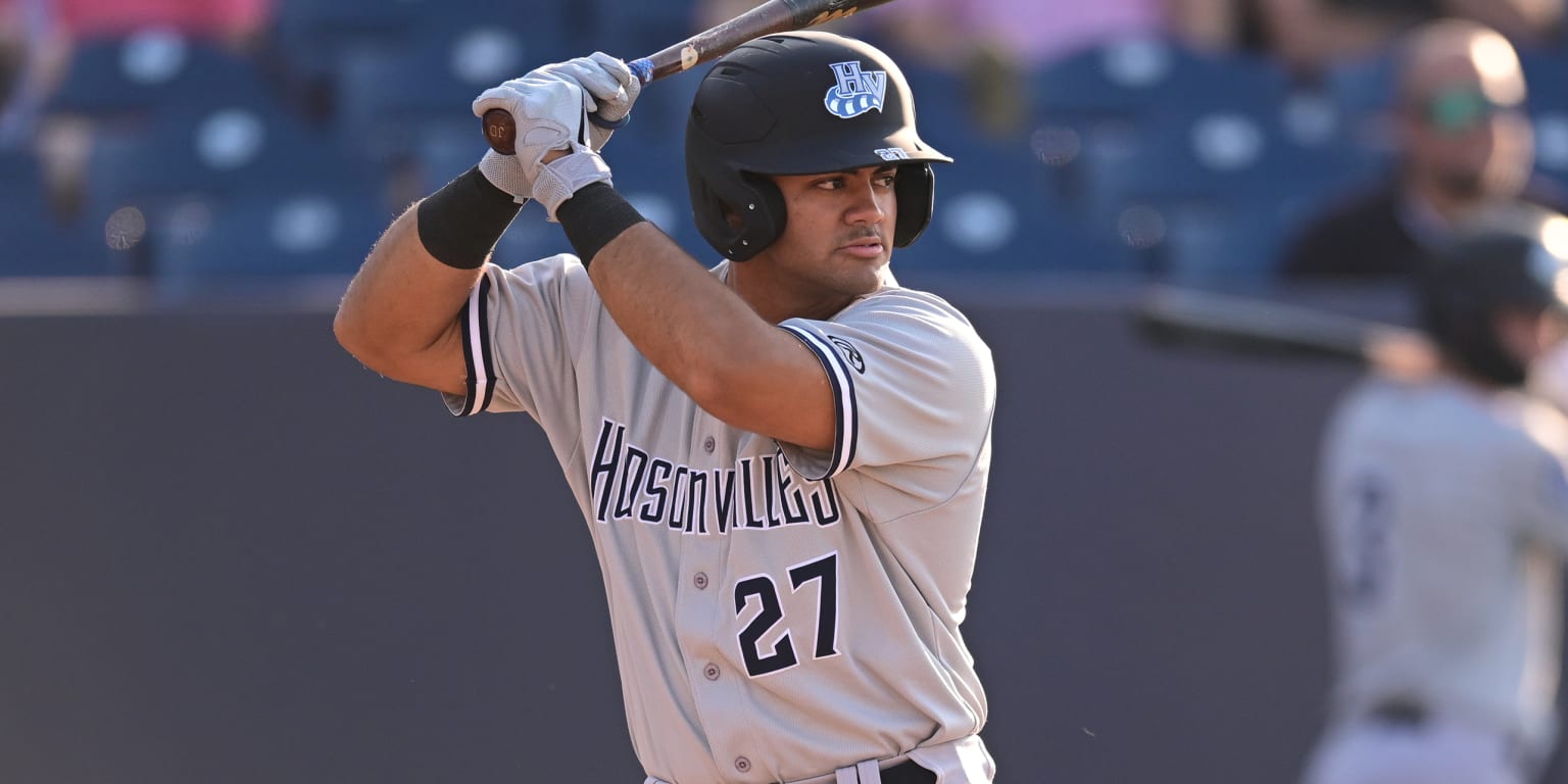 Jasson Dominguez shines in Hudson Valley Renegades debut