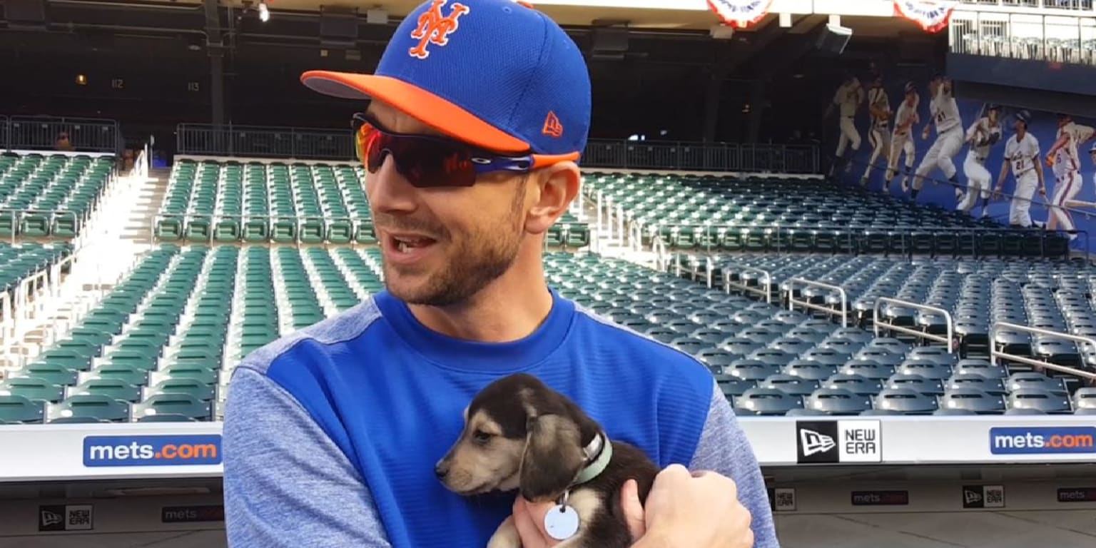 The Mets made friends with rescue puppies, and it was truly adorable ...