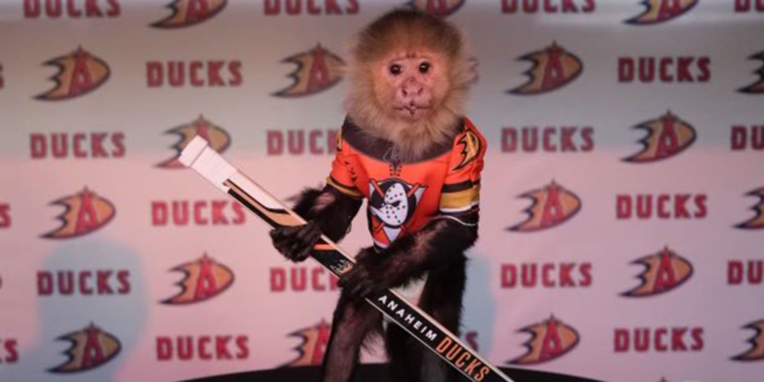 Who Will Rally for the Rally Monkey?, by The Rally Monkey, The Mascots'  Tribune