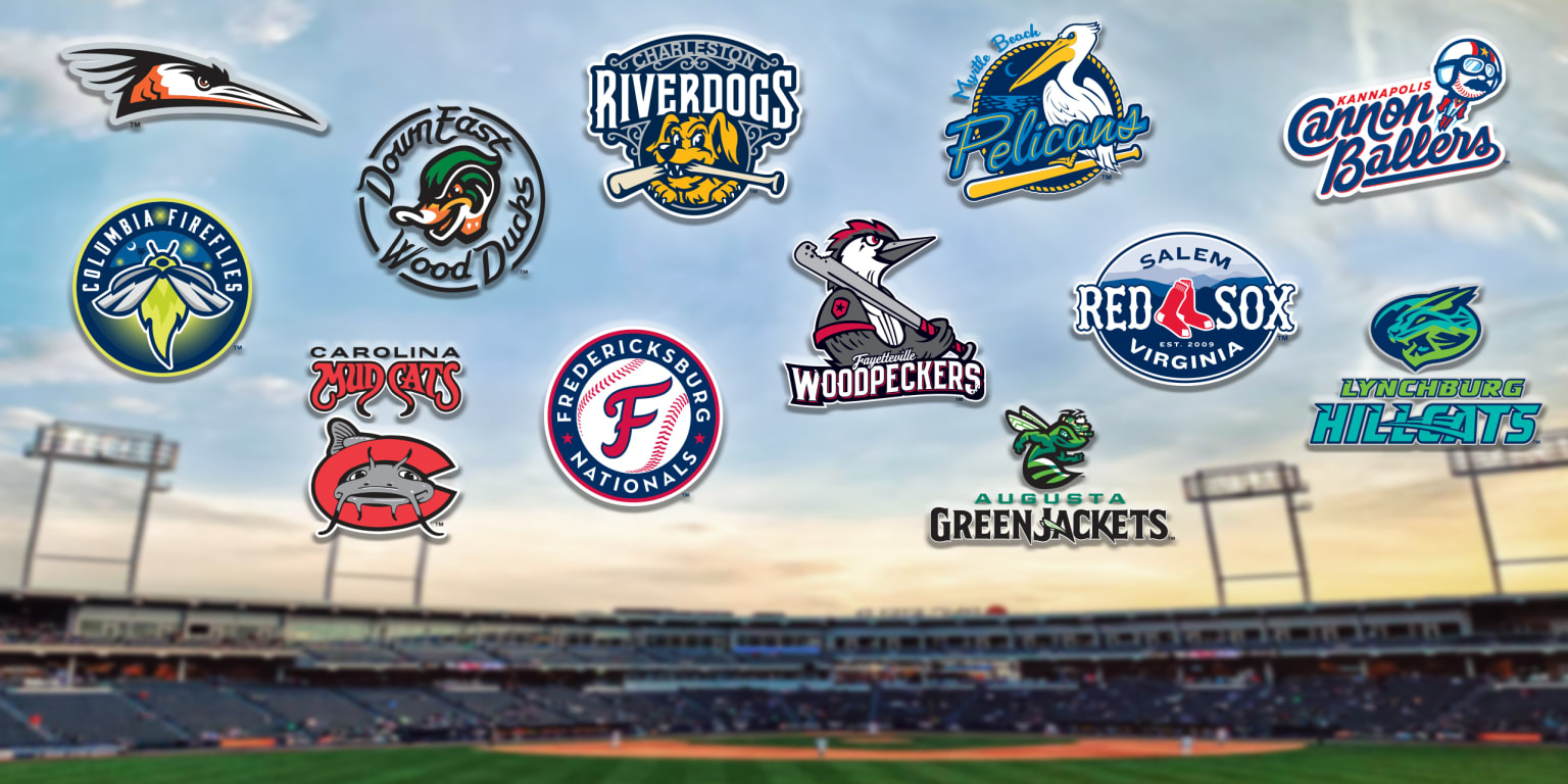 Minor League Baseball Teams in North Carolina