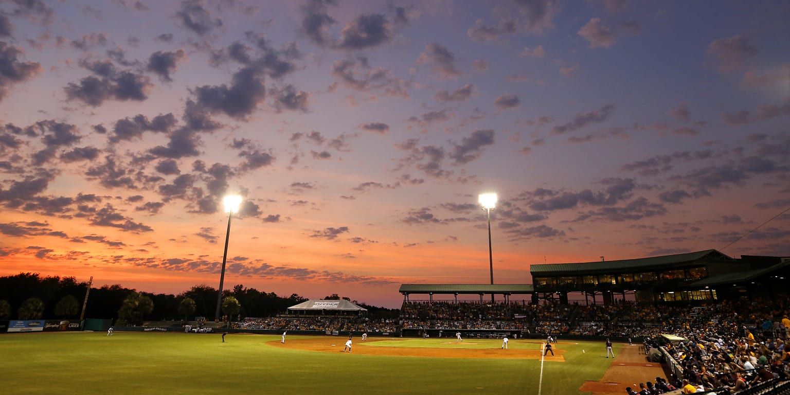 Rome Braves Unveil Opening Day Roster