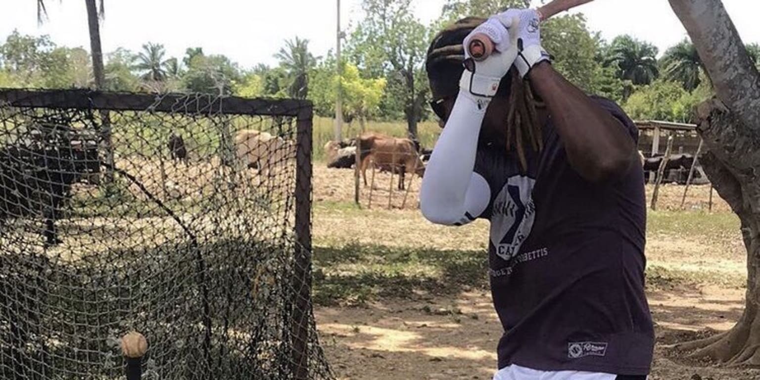 Family, food and his beloved animals helped Colorado Rockies' Raimel Tapia  turn season around, Sports