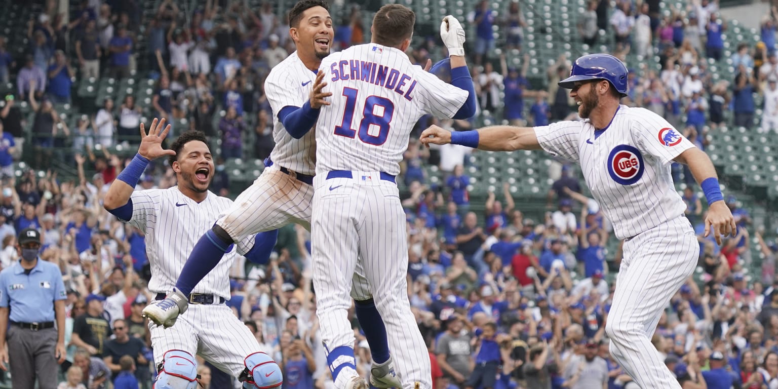 What can the Cubs expect out of Frank Schwindel in year two?