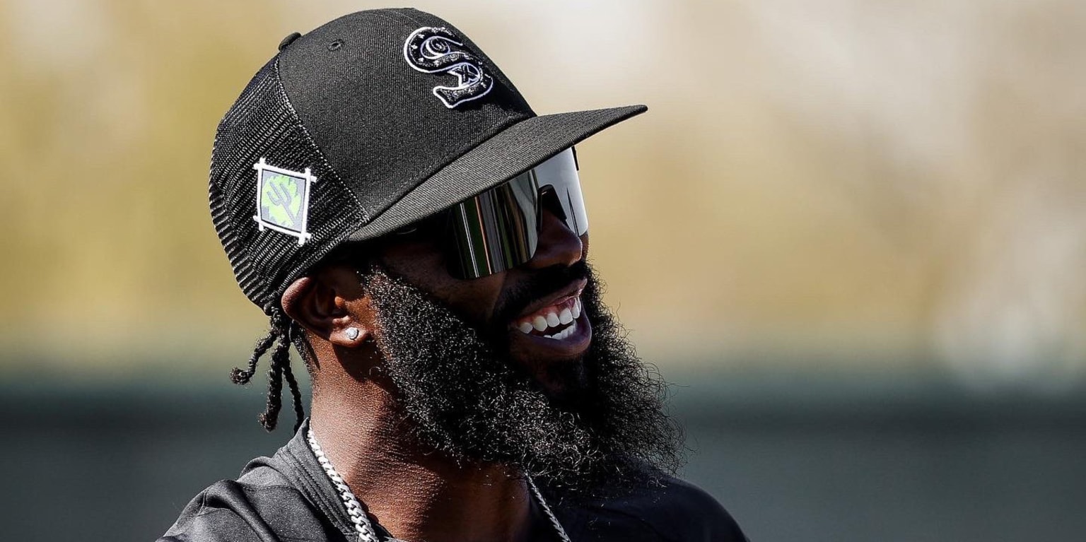 White Sox Talk on X: Josh Harrison is already the best addition to the  South Side chain gang  / X