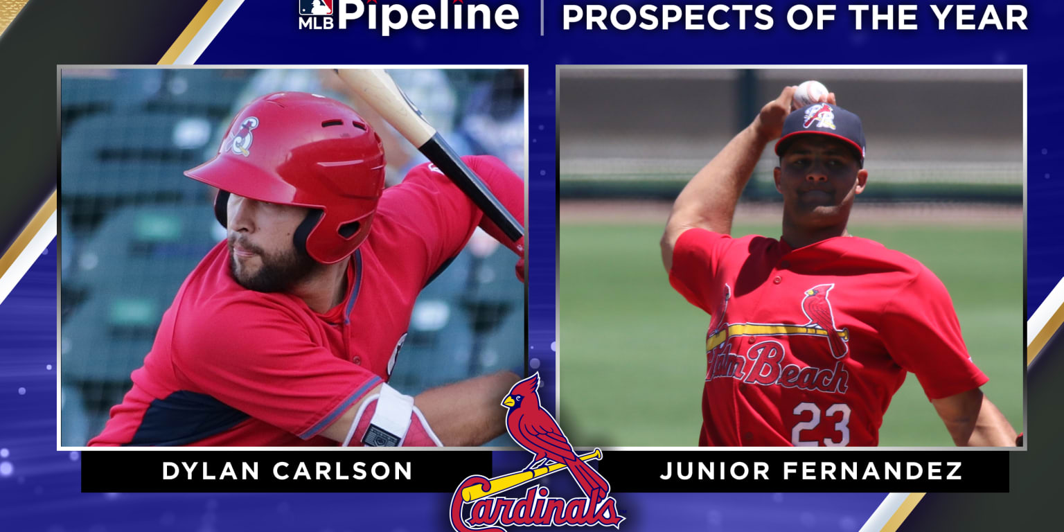 Cardinals Prospect Dylan Carlson May Force His Way Onto The Team