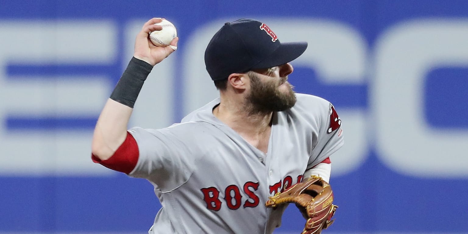 Red Sox 2B Dustin Pedroia bruises nose with foul, is day to day