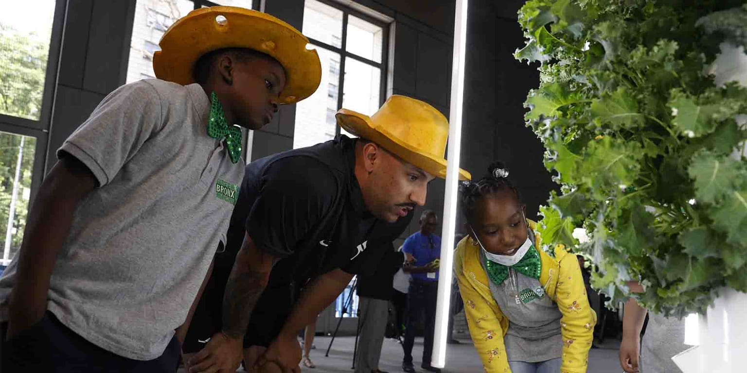 Yankees unveil Yankee Stadium Tower Garden