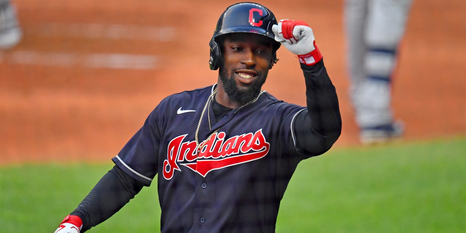 Cleveland Indians activate Daniel Johnson; Franmil Reyes placed on  paternity list 