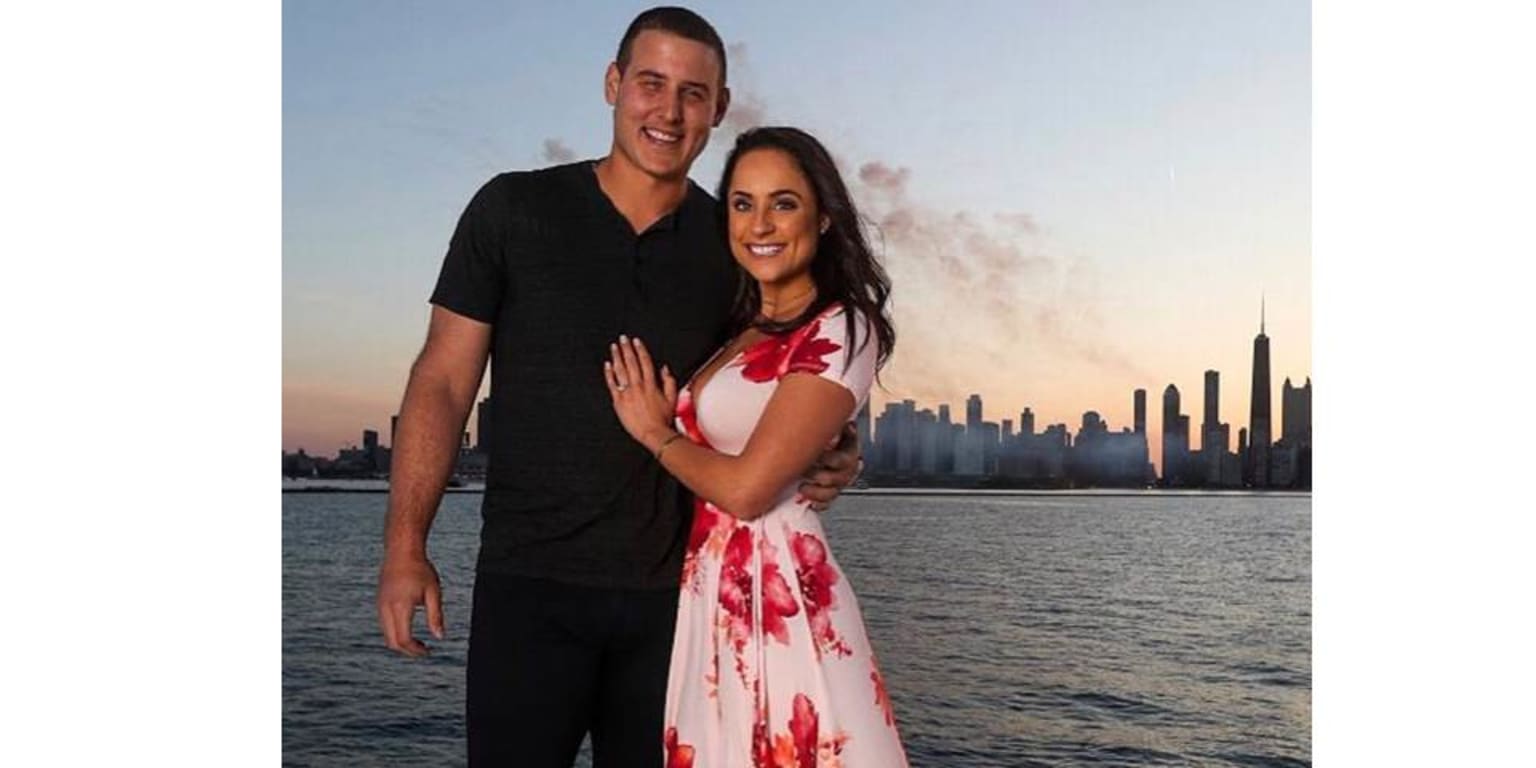 Anthony Rizzo got engaged with the beautiful Chicago skyline in
