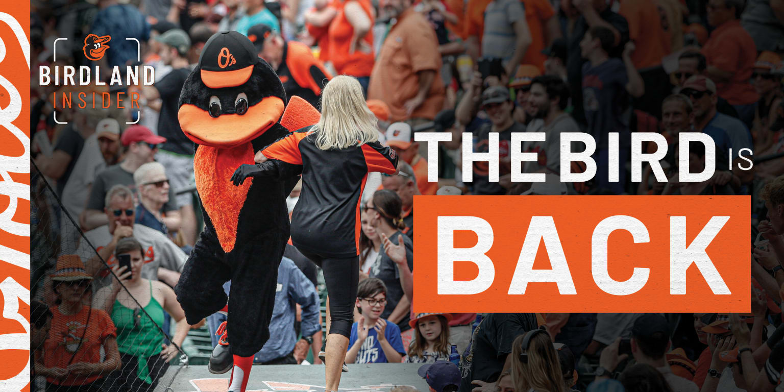 Birdland Insider: Oriole Bird Inducted to Mascot Hall of Fame