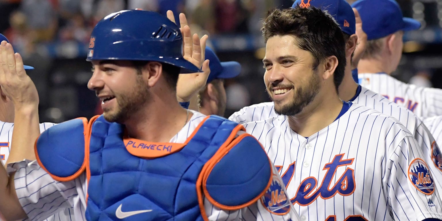Report: Mets offered Travis d'Arnaud to Brewers for Jonathan Lucroy - NBC  Sports