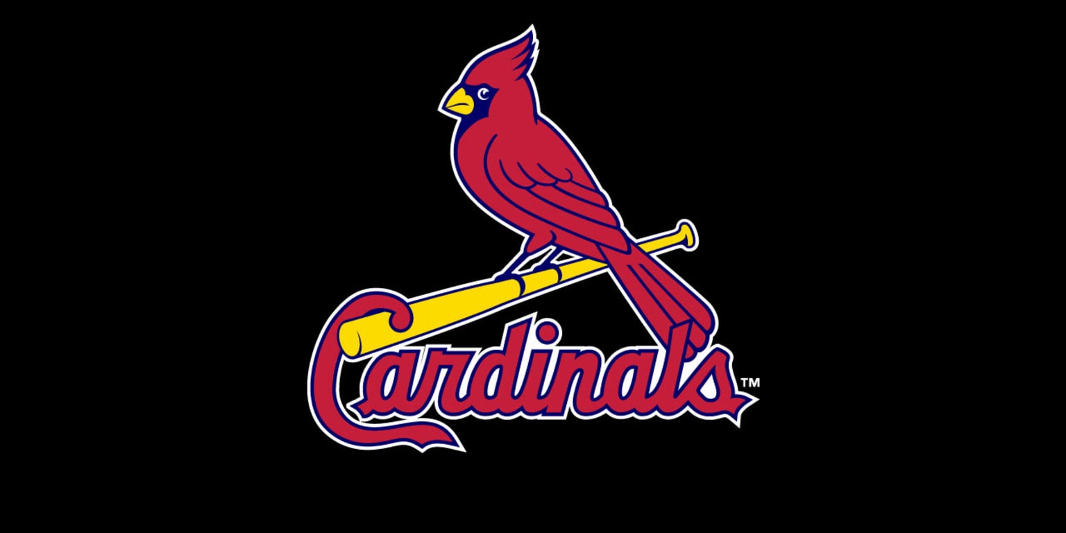 Download Yadier Molina of the St. Louis Cardinals Wallpaper