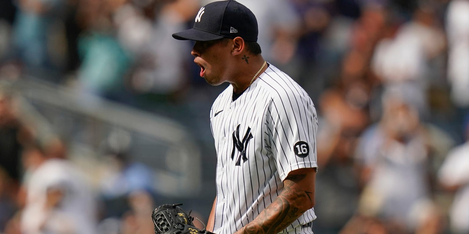 Yankees' Jonathan Loaisiga looking good for return next week 