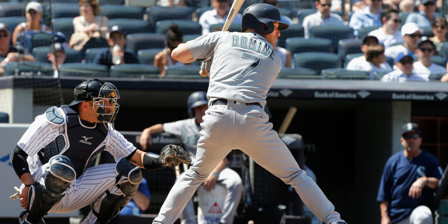 Cubs' Andrew and Austin Romine make up rare brotherly pitcher