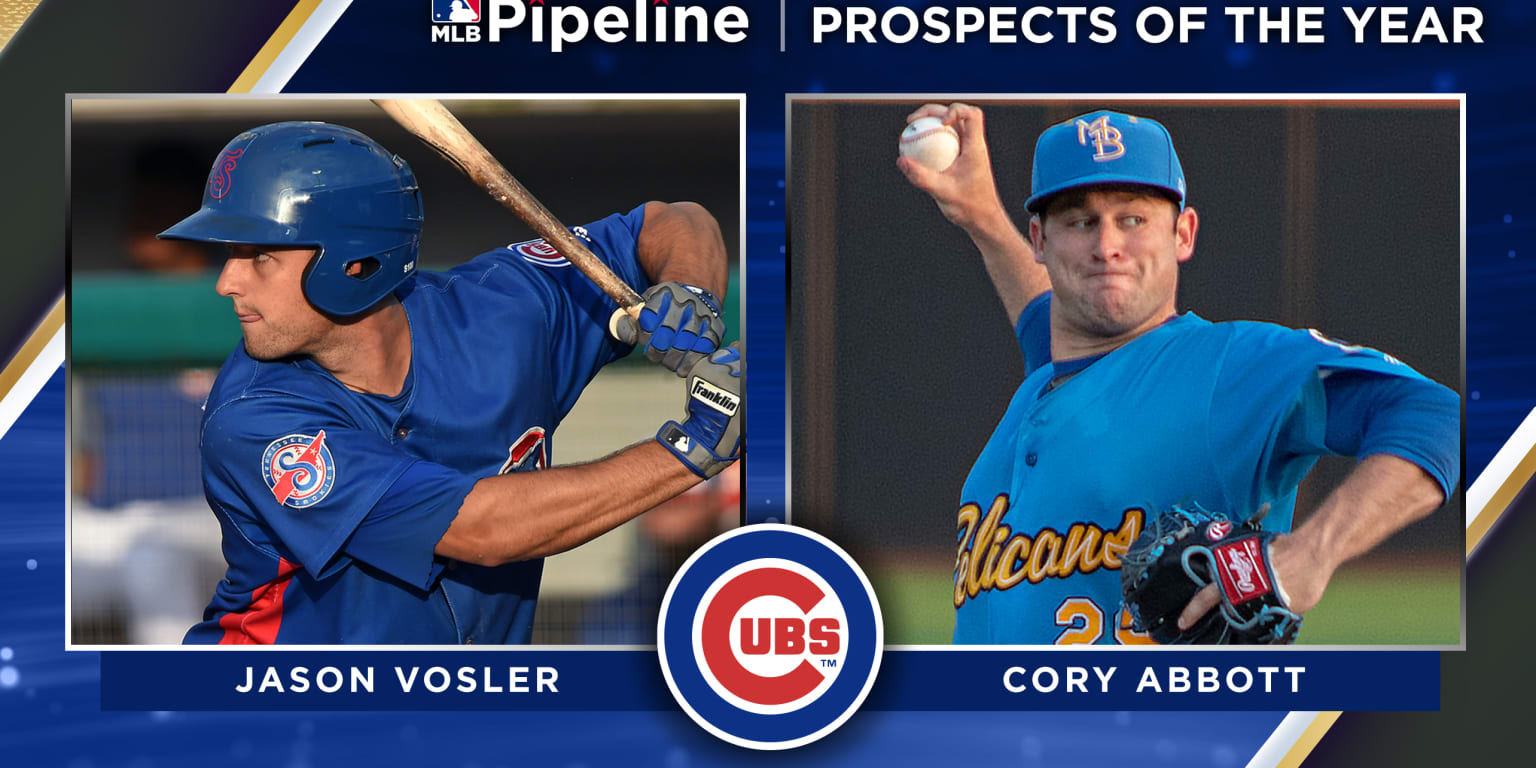 Chicago Cubs Prospects: Cubs prospect named to the MiLB Prospect