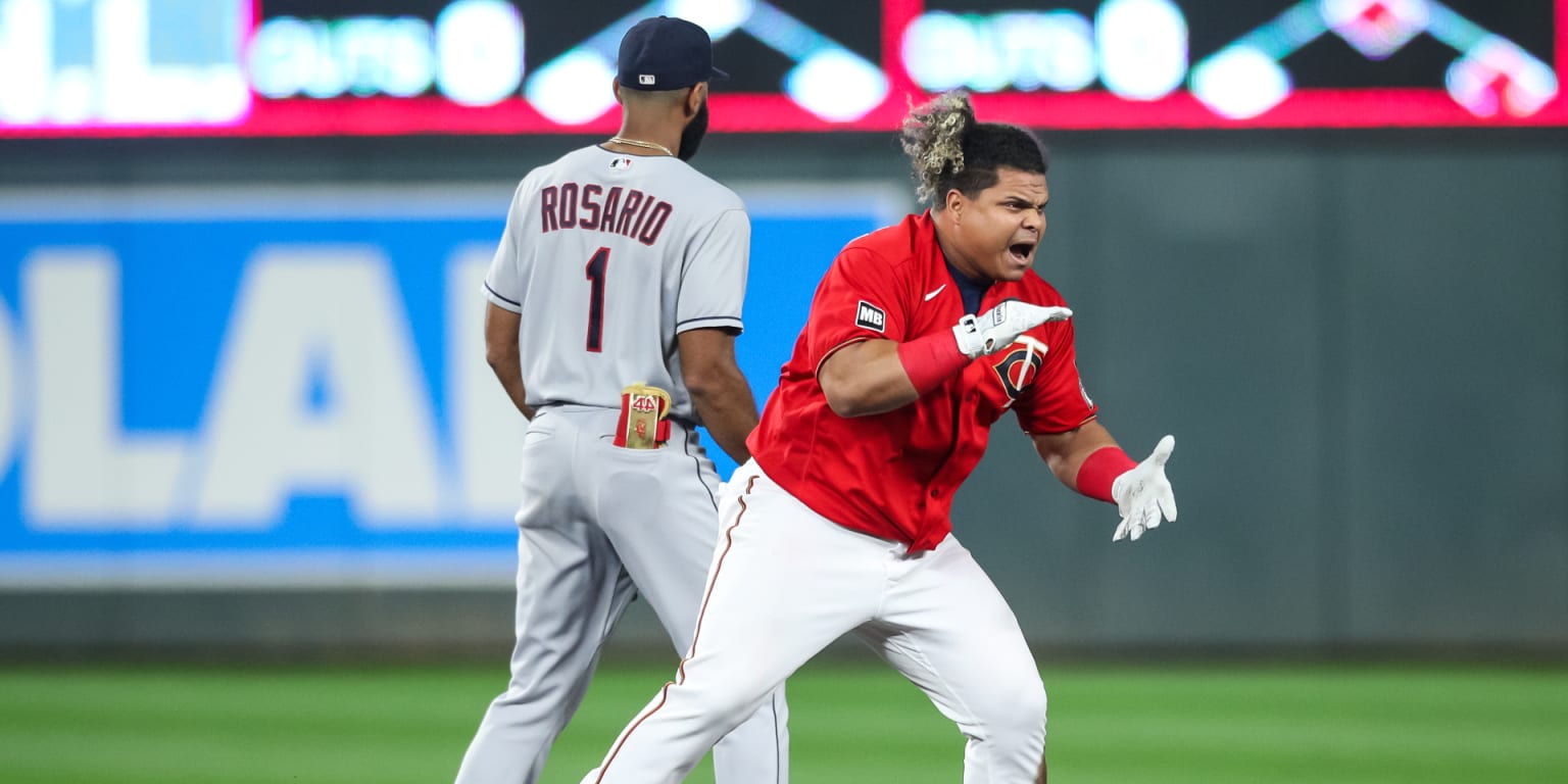 Willians Astudillo released by Twins