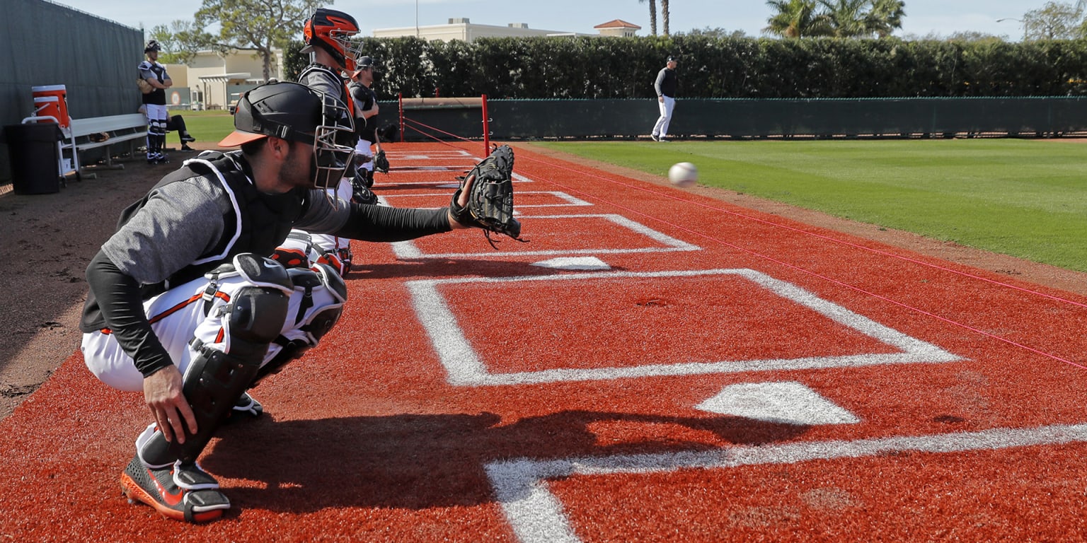 The Orioles are a dream on the field. Behind the scenes it's different, Baltimore Orioles